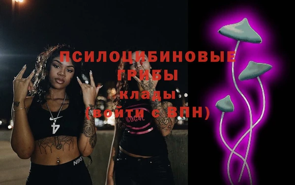 мдпв Богородицк