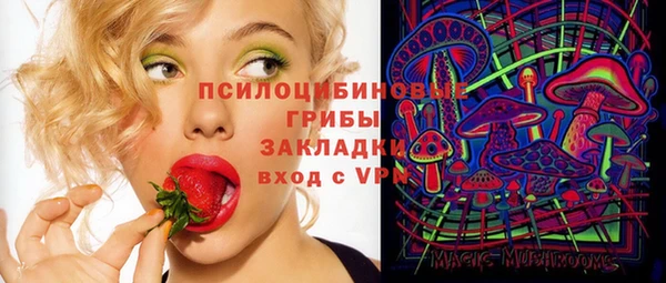 мдпв Богородицк