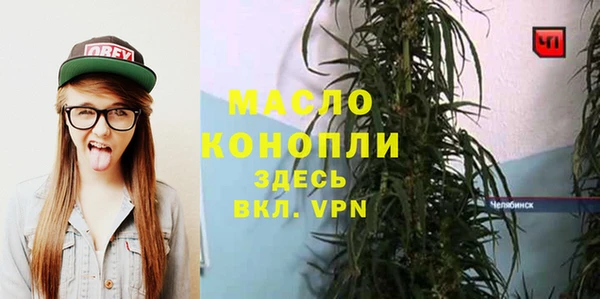 мдпв Богородицк