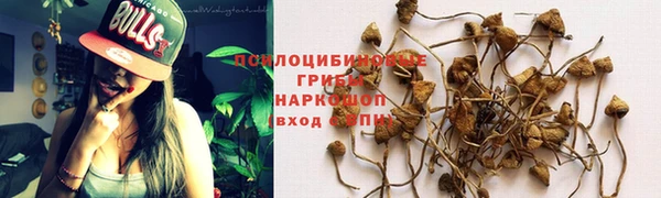 наркотики Богданович